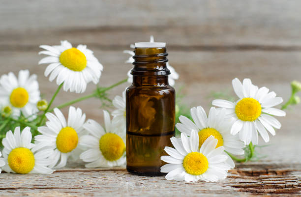 Chamomile Essential Oil